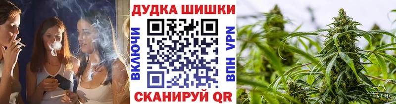 купить наркотики цена  Гдов  кракен зеркало  Бошки Шишки Bruce Banner 